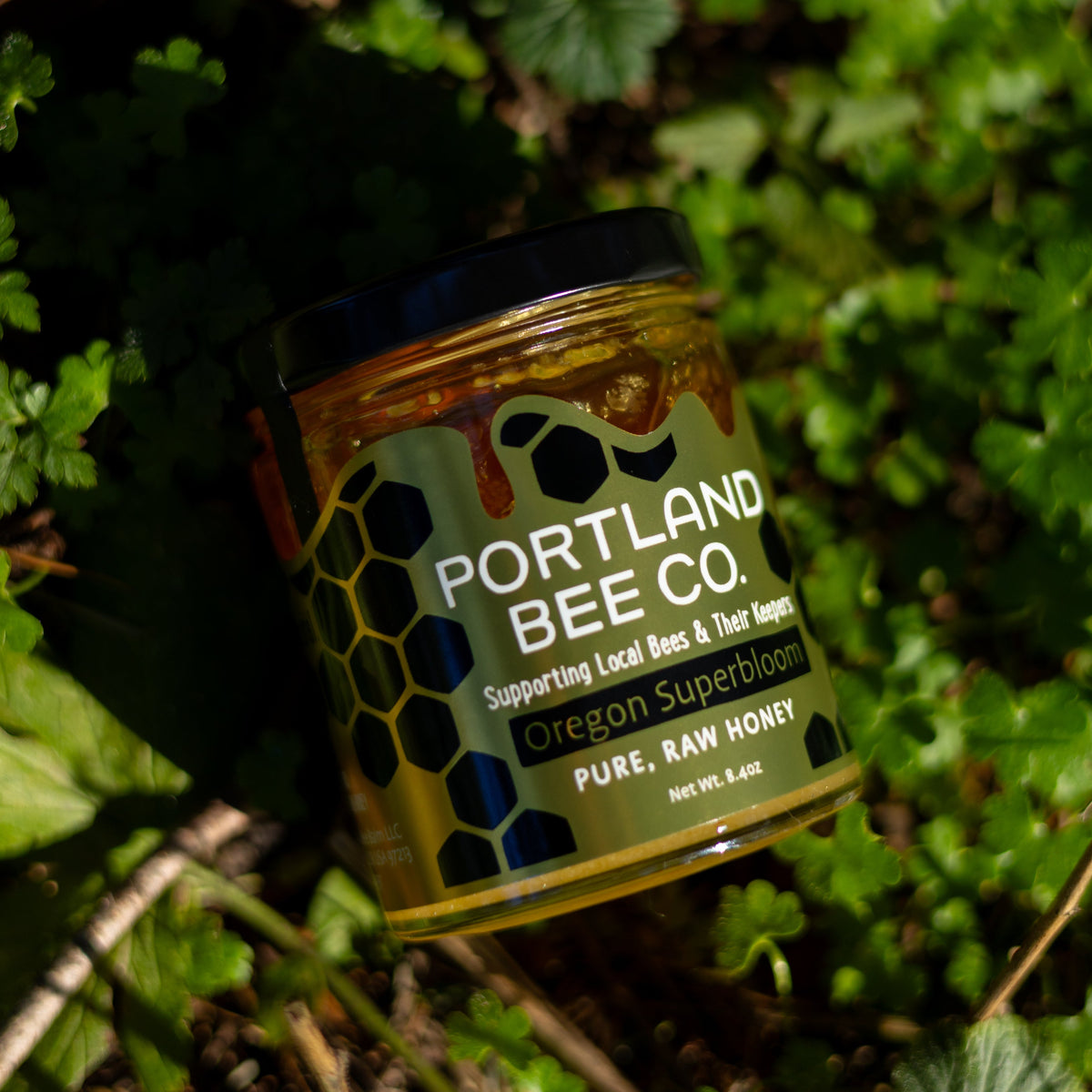 Oregon Superbloom Honey – Portland Bee Balm