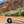 Load image into Gallery viewer, Simple Salve Hand Balm