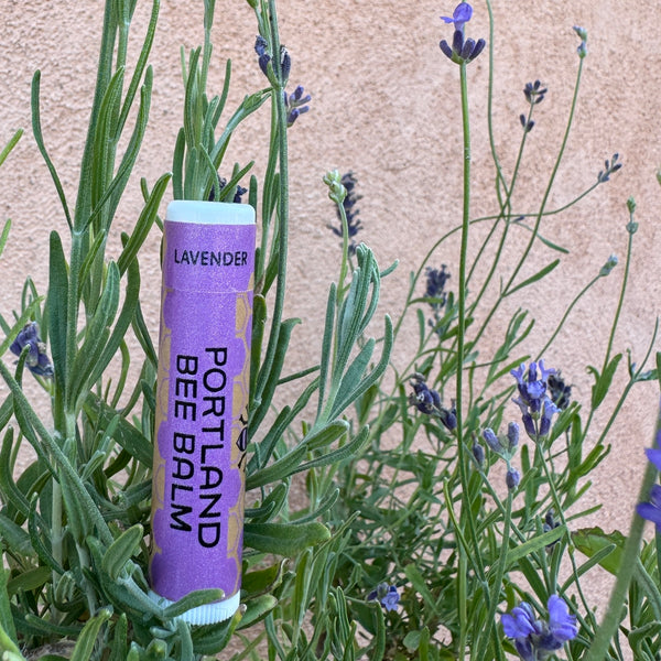Lavender 9-Pack