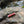 Load image into Gallery viewer, Rose Garden 9-Pack