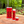 Load image into Gallery viewer, Rose Garden 9-Pack