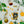 Load image into Gallery viewer, Beeswax and Honey Soap Bar - Yuzu Citrus
