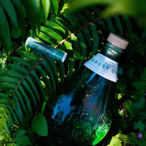 NEW! Forest Gin 3-Pack (Limited Run)