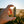 Load image into Gallery viewer, Jasmine 3-Pack
