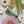 Load image into Gallery viewer, Jasmine 3-Pack
