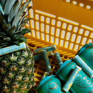 Tropical Haze 3-Pack (Limited Run)