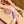 Load image into Gallery viewer, Lavender 9-Pack
