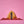 Load image into Gallery viewer, Tinted 3-Pack (Big Pink, Rose City, Red Blaze Assorted or Build Your Own Pack!)
